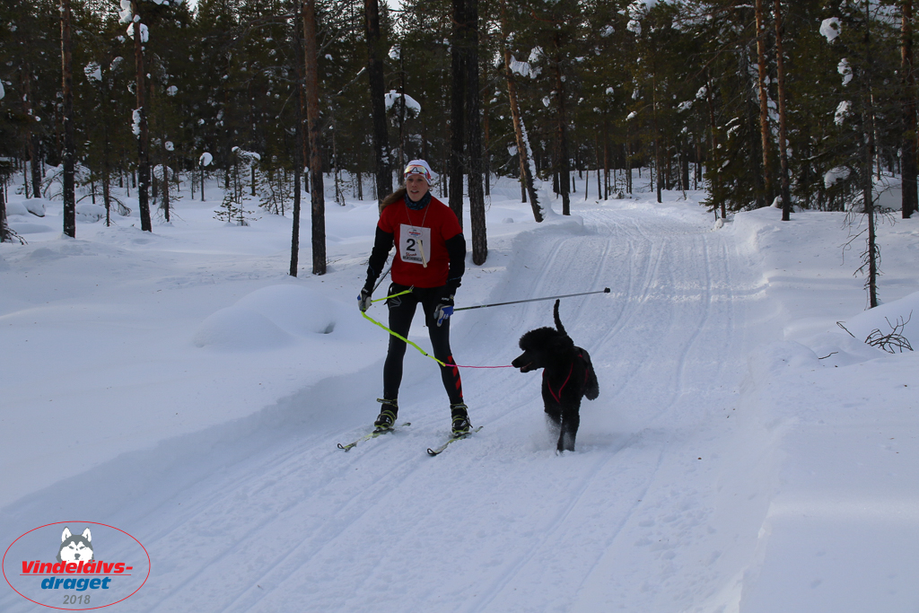 2018_Lordag-86.jpg