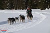 2018_Lordag-49.jpg