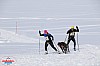 2018_Lordag-69.jpg