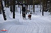 2018_Lordag-88.jpg