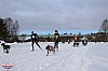 2018_Sondag-2004.jpg