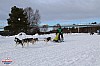 2018_Sondag-2008.jpg