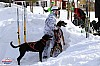 2018_Sondag-2118.jpg