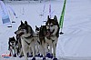 2018_Sondag-2232.jpg