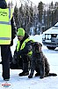 2018_Sondag-2372.jpg