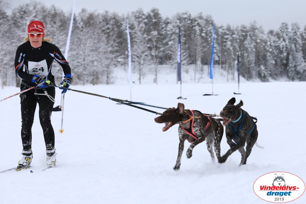 Vindelalvsdraget2019Fredag-86.jpg