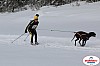 Vindelalvsdraget2019Fredag-43.jpg