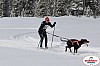 Vindelalvsdraget2019Fredag-44.jpg