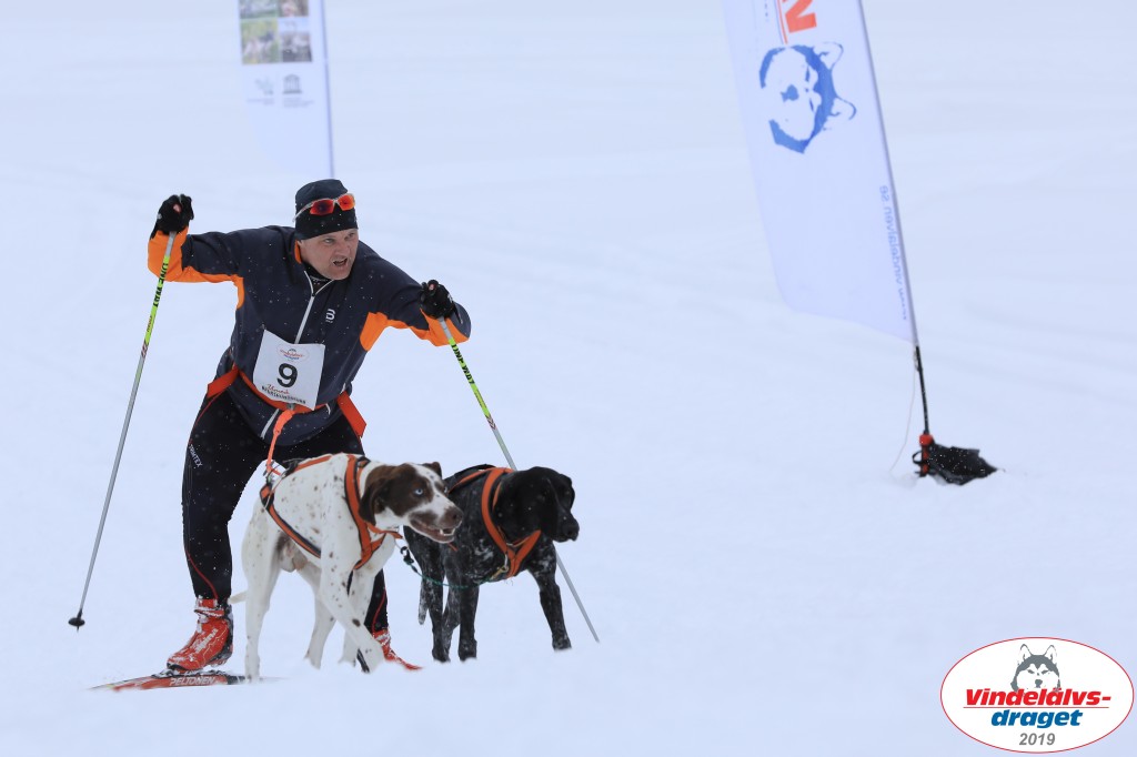 Vindelalvsdraget2019Lordag (78).jpg