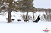 Vindelalvsdraget2019Lordag (40).jpg