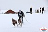 Vindelalvsdraget2019Lordag (52).jpg