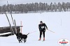 Vindelalvsdraget2019Lordag (53).jpg