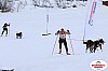 Vindelalvsdraget2019Lordag (69).jpg