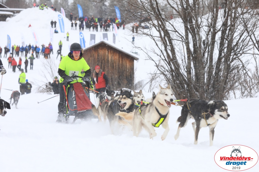 Vindelalvsdraget2019Sunday-10.jpg