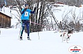 Vindelalvsdraget2019Sunday-11.jpg