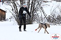 Vindelalvsdraget2019Sunday-14.jpg