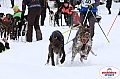 Vindelalvsdraget2019Sunday-20.jpg