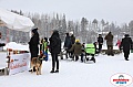 Vindelalvsdraget2019Sunday-34.jpg