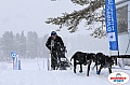 Vindelalvsdraget2019Sunday-42.jpg