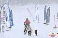 Vindelalvsdraget2019Sunday-43.jpg