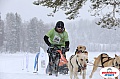 Vindelalvsdraget2019Sunday-47.jpg