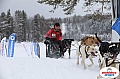 Vindelalvsdraget2019Sunday-52.jpg