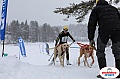 Vindelalvsdraget2019Sunday-57.jpg