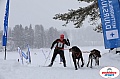 Vindelalvsdraget2019Sunday-63.jpg