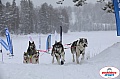 Vindelalvsdraget2019Sunday-68.jpg