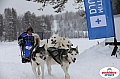Vindelalvsdraget2019Sunday-73.jpg