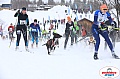 Vindelalvsdraget2019Sunday-8.jpg