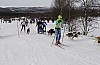 draget008.jpg