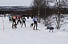 draget009.jpg