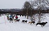 draget010.jpg