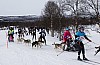 draget011.jpg