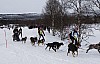 draget014.jpg