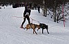 draget015.jpg