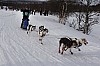 draget019.jpg