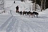 draget022.jpg