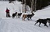 draget023.jpg