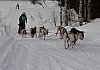 draget026.jpg