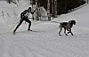 draget027.jpg