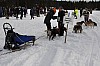 draget030.jpg
