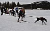 draget034.jpg
