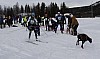 draget035.jpg