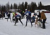draget036.jpg