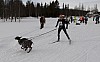draget038.jpg