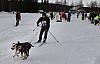 draget039.jpg