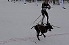 draget062.jpg