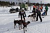 draget066.jpg